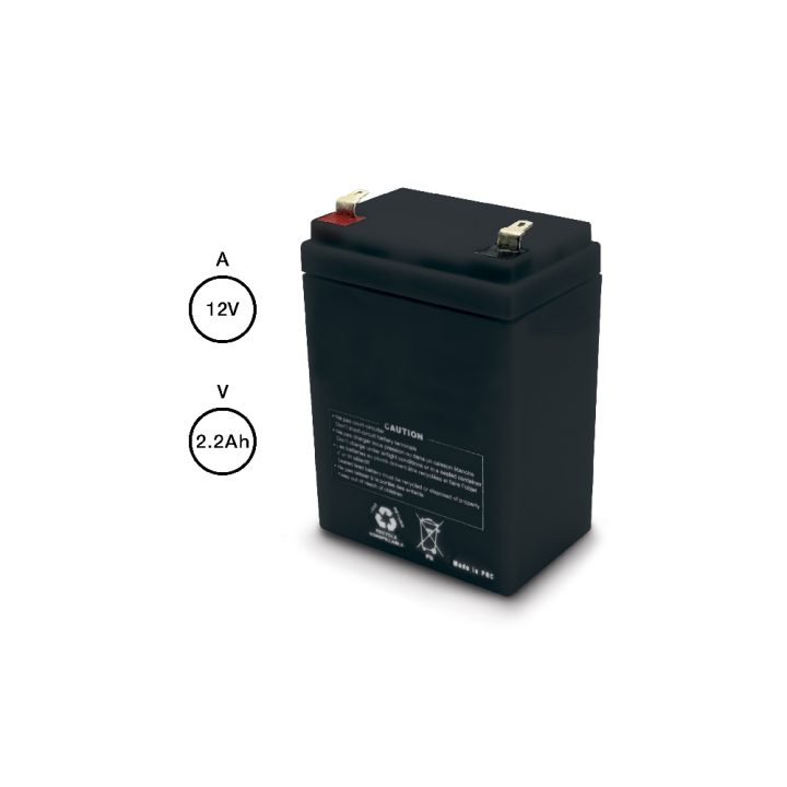 Batterie AVIDSEN 2.2Ah - 580279