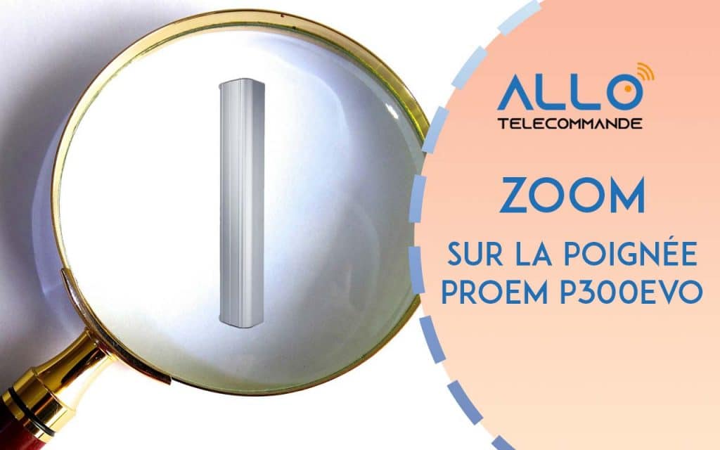 Zoom sur la Poignée ventouse PROEM P300EVO:P600EVO