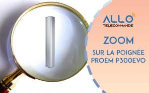 Zoom sur la Poignée ventouse PROEM P300EVO:P600EVO